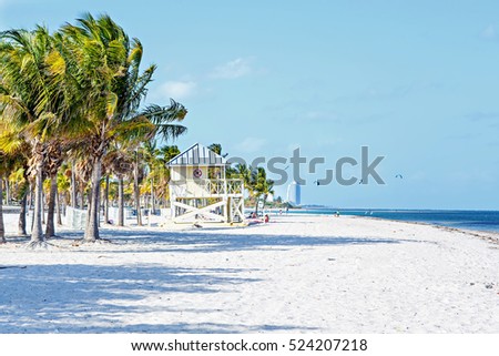 Beautiful Crandon Park Beach located in Key Biscayne in Miami, Florida, USA Royalty-Free Stock Photo #524207218