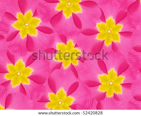 Beautifully blossoming background