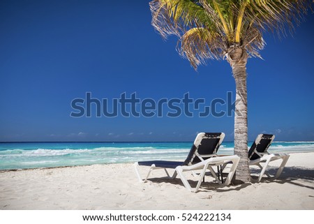 Two beach beds under palm tree on caribbean beachfront
 Royalty-Free Stock Photo #524222134