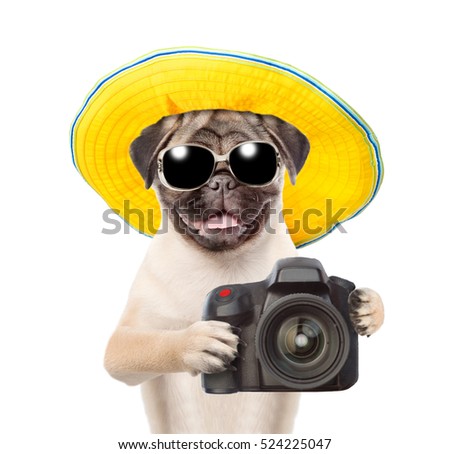 Dog photographer in summer hat and sunglasses taking pictures. isolated on white background