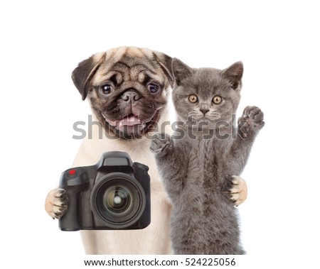 Dog with cat taking pictures. isolated on white background