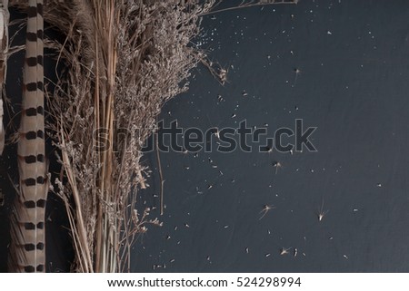 still life close up with feather and bunch of leaves