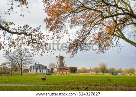 Windmill in autumn, tree, autumn leaves,Tree silhouette