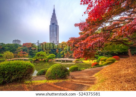 Autumn in the Shinjuku Park, Tokyo, Japan Royalty-Free Stock Photo #524375581