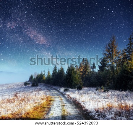 Dairy Star Trek in the winter woods. Dramatic and picturesque scene. Road in the mountains. In anticipation of the holiday. Carpathian Ukraine.