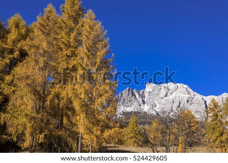 dolomiti alps autumn landscape