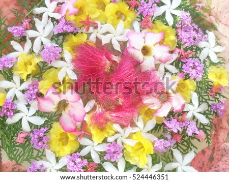 Bright picture of background full of color flowers