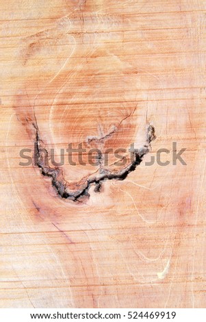 Rough surface of wood with rings