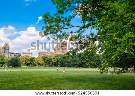 The Sheep Meadow at Central Park in New York City on a beautiful summer day