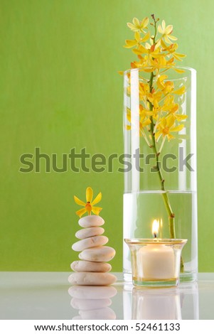 Spa Concepts with green background