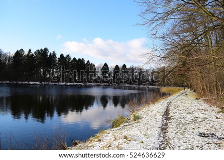 A large lake near the forest in winter