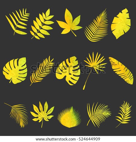 Set of multicolored, tropical watercolor leaves on a beautiful background