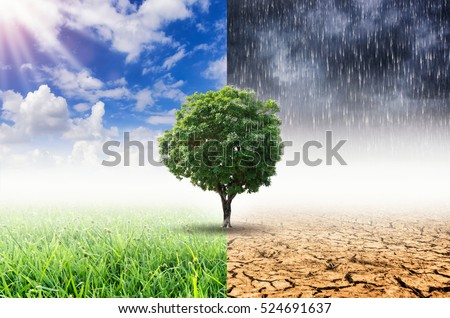 Plants and climate change with the concept of global warming. Royalty-Free Stock Photo #524691637