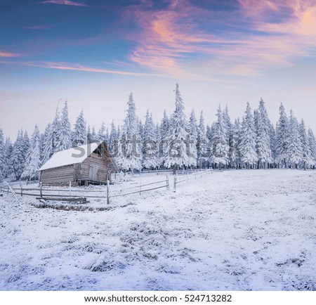 Forester's hut in the snowy mountain forest. Colorful winter sunrise in Carpathians, Happy New Year celebration concept. Artistic style post processed photo.