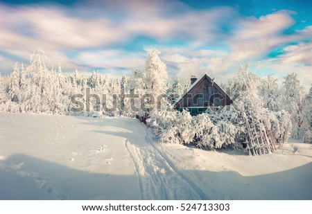 Sunny winter morning in Carpathian village with snow covered trees in garden. Beautiful outdoor scene, Happy New Year celebration concept. Artistic style post processed photo.