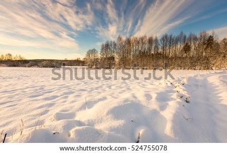 Beautiful winter field and trees landscape. Snow covered polish landscape.