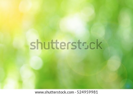 Green blurred backdrop. Abstract background wallpaper.