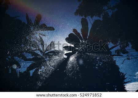Rainbow raining on silhouette coconut tree