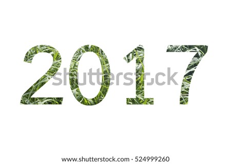 Numbers 2017 with   green grass isolated on white background