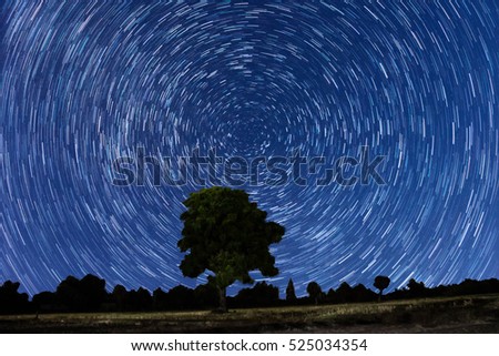star trail over the tree , night stars for background, stars in the night sky.