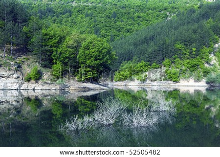 water reflection of the spring season