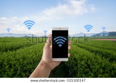 Agriculture, Internet ,and Mobile signal in agriculture concept. Internet and telephone signal network in farm, rice field, tea field, country side. Royalty-Free Stock Photo #525100147