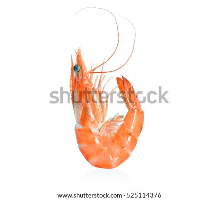 Cooked shrimp,prawn isolated on white background