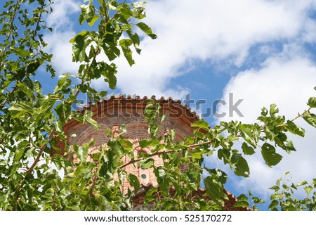 Green tree branches on blue sky