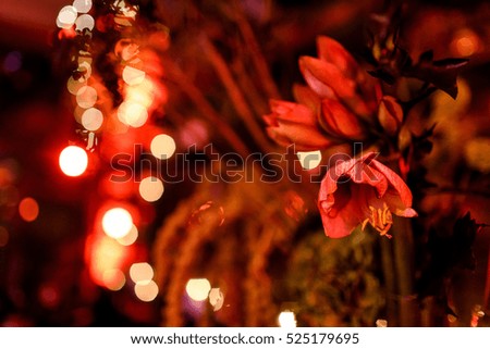 Close-up of red flower put in green bouquet with lamps