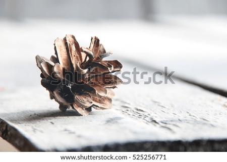 Pine cone on vintage wooden background, Christmas card.
