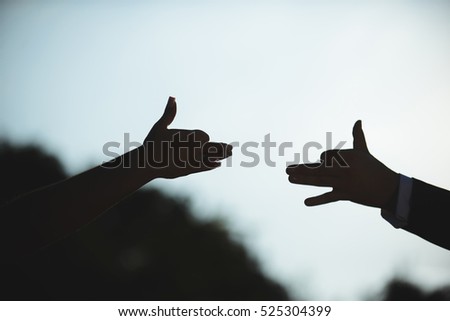 silhouettes of bride and groom hands in form of dog