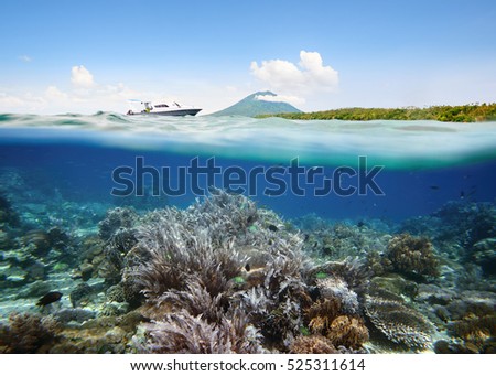 Underwater scene. Coral reef near volcano Manado Tua, Indonesia. Under and above water.  Royalty-Free Stock Photo #525311614