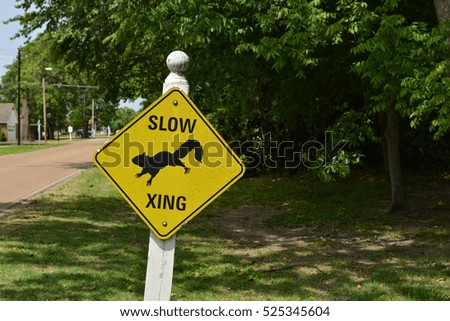 slow sign squirrel