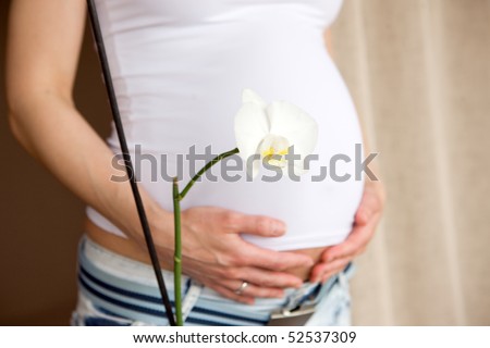 Magnolia flower and pregnant woman belly