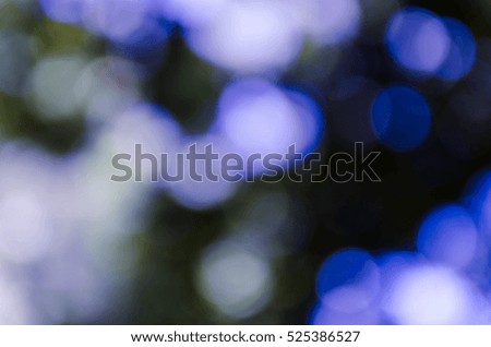Blue bokeh out of focus background from nature forest