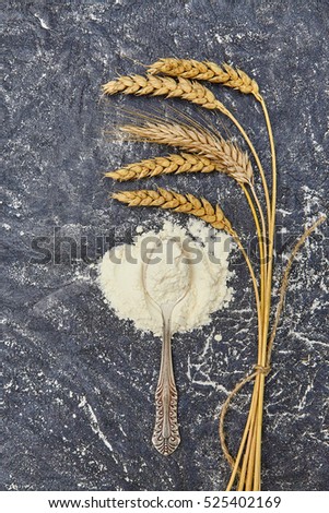 Ears of wheat and whole flour in spoonon dark background. Top view