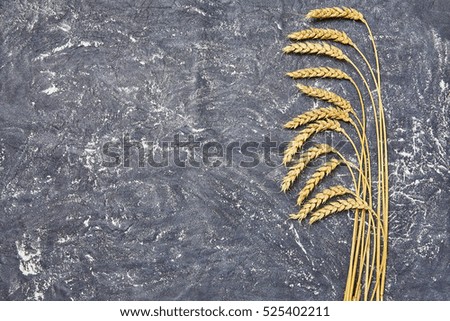 Ears of wheat on dark background. Top view