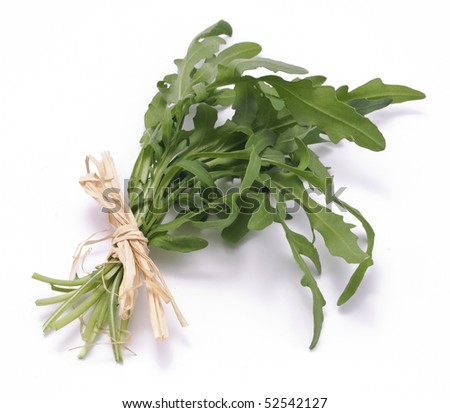 Arugula leaves in the bunch