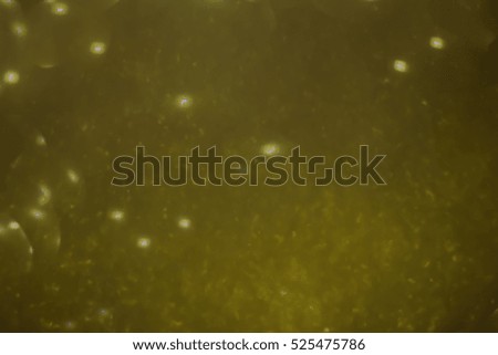 Gold glitter abstract background Bokeh Christmas.