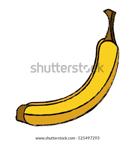 banana appetizing fruit nature drawing