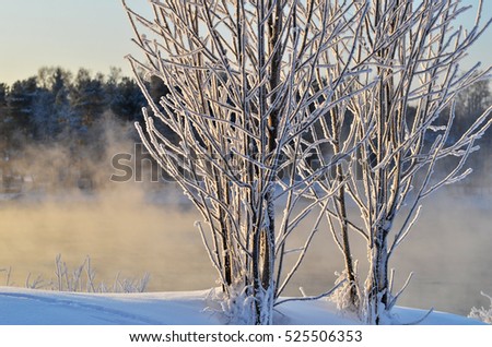 beautiful winter forest, shrouded in snow. Huge snowdrifts, trees in the snow. Winter landscape. Real winter.
Beautiful background, screen saver for your desktop