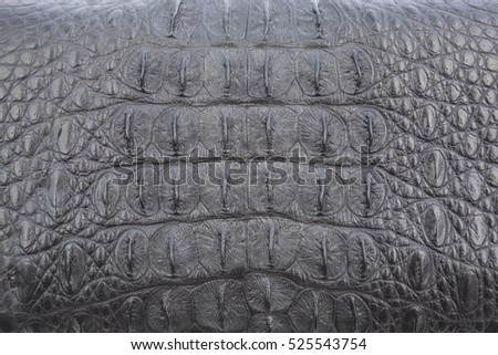 Crocodile skin black color leather texture background,genuine crocodile leather pattern,please use these pattern to reduce killing of crocodile purpose