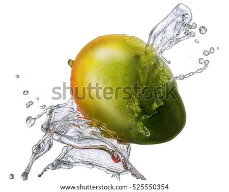 Water splash and fruits isolated on white backgroud with clipping path. Fresh mango