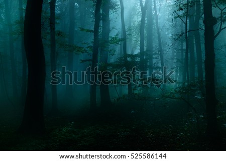 Forest of Deciduous Trees at Night Illuminated by Moonlight, Spooky Mystic Atmosphere