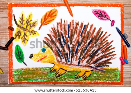 Colorful drawing - happy hedgehog and autumn leaves