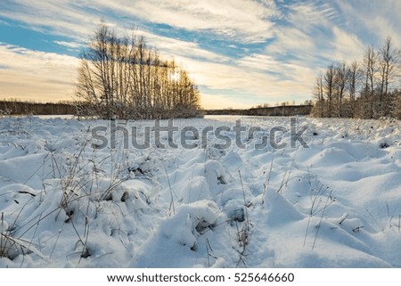 Beautiful winter field, road and trees landscape. Snow covered polish landscape.