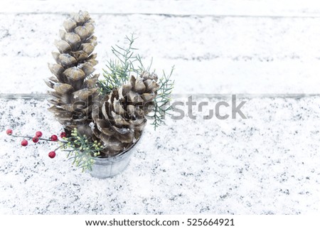 Close up of red Christmas berries, evergreen cypress branches over cover with snow in rustic bowl, selective focus, white background, space for text, snow falling effect