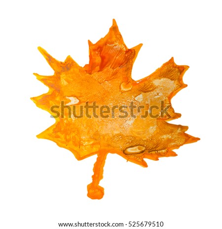 texture coloring maple leaf on a white background