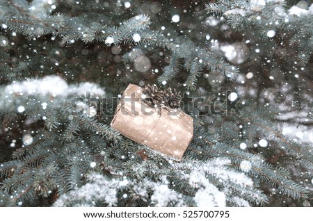 Christmas box on the spruce snowfall