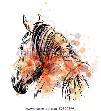 Colored hand sketch horses behind. Vector illustration